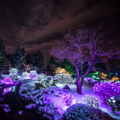 Denver Botanic Gardens at Night