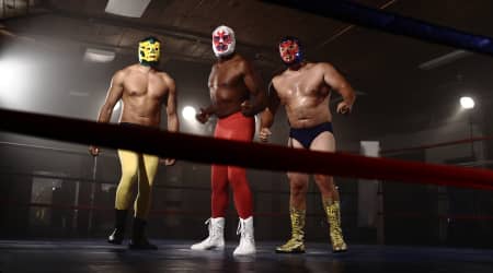 Luchadores