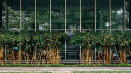 The Menil Collection