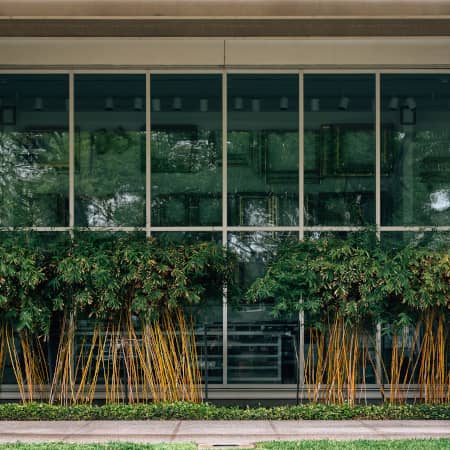 The Menil Collection