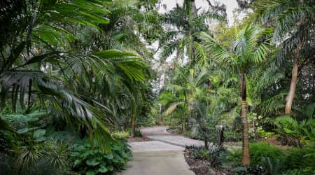 Path at Harry P. Leu Gardens