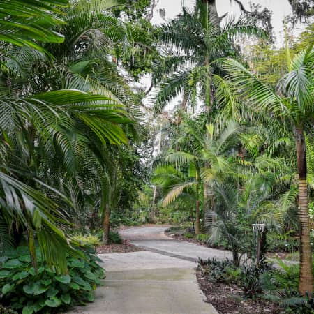Path at Harry P. Leu Gardens