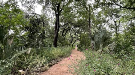 Trail in Laguna Gloria