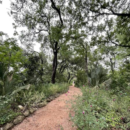 Trail in Laguna Gloria