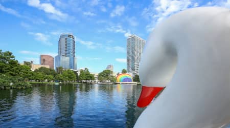 View from the swan boat on Lake Eola