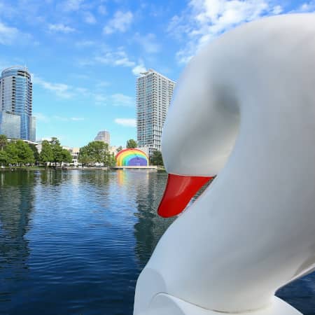 View from the swan boat on Lake Eola