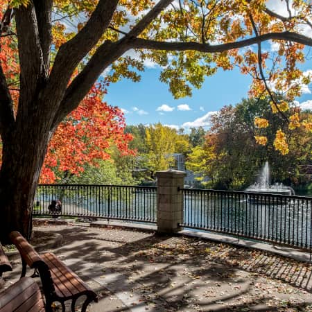 Parc la Fontaine
