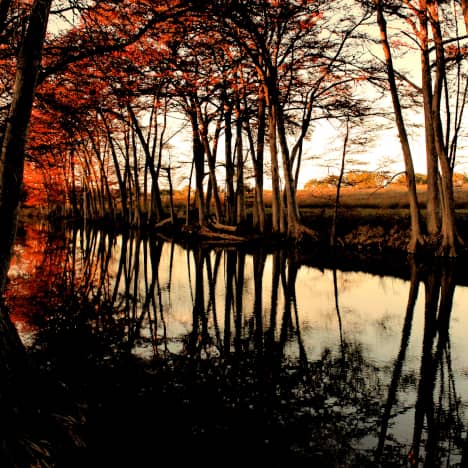Medina River at Sunset