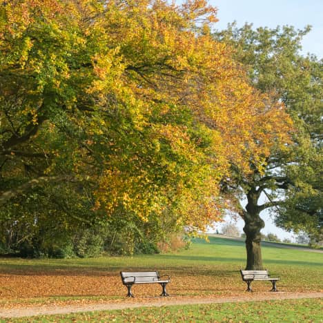 Heaton Park in Autumn