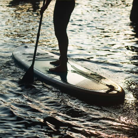 Paddleboard silhouette