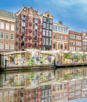 Flower Market, Amsterdam