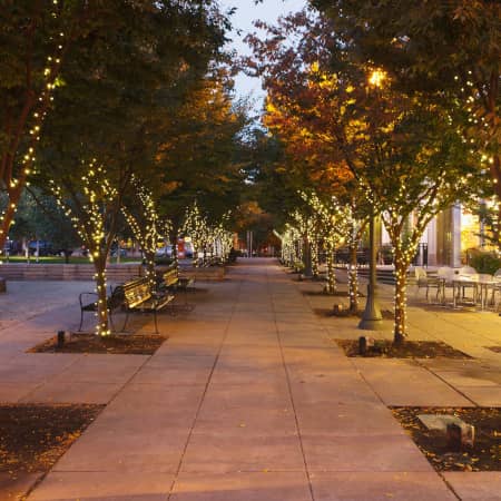 Jamison Square in the Pearl District, trees lit with string lights
