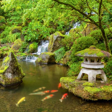 Koi pond at the Portland Japanese Garden