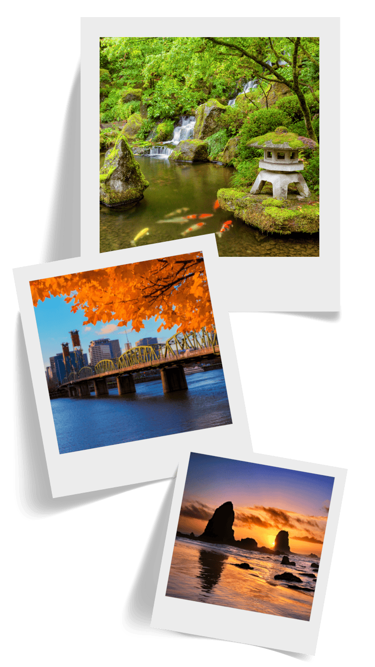 Collage of Polaroid portraits from Portland, Oregon