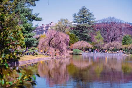 Brookly Botanic Garden in Spring