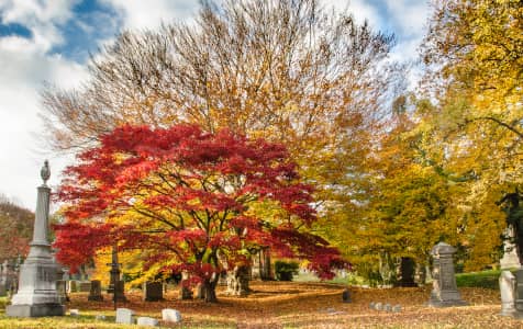 Cemetary in Autumn