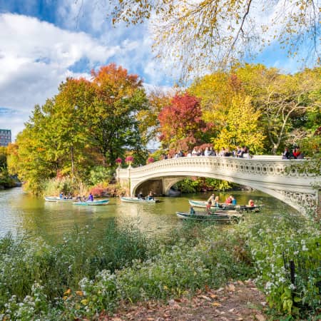Bridge in Central Park